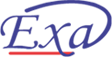 Exaseg