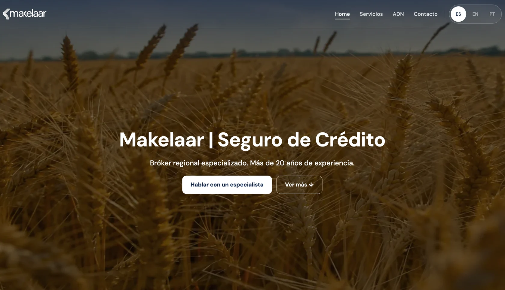 Sitio publicado de Makelaar: portada sobre un campo de trigo, con el titular de seguro de crédito, un botón para hablar con un especialista y selector de idioma.
