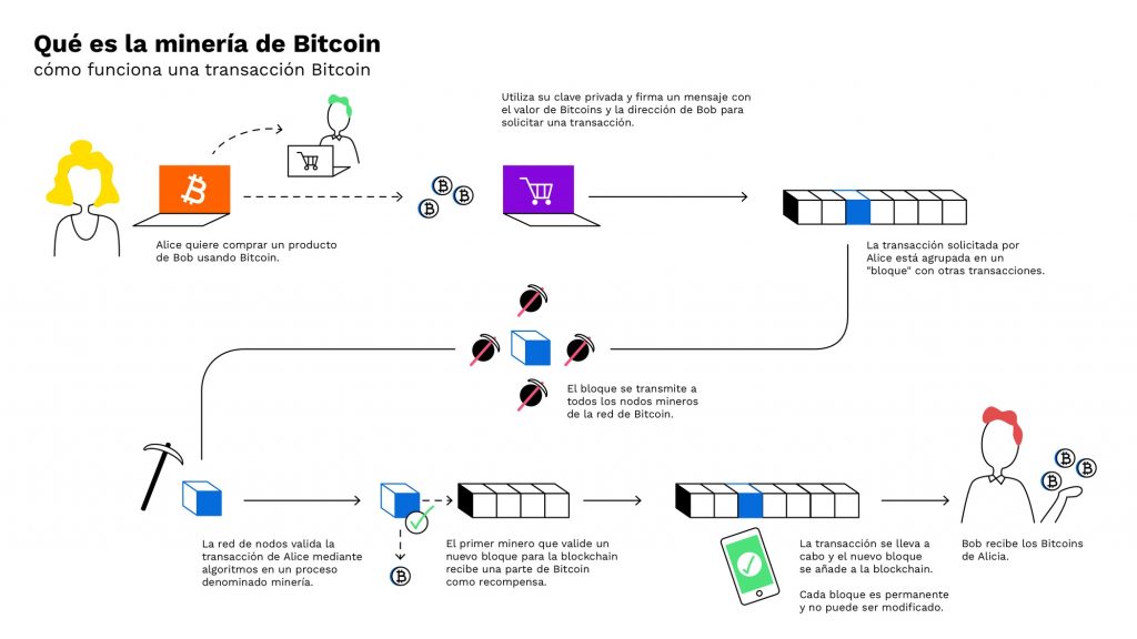 Las 10 Criptomonedas más prometedoras: Presente y Futuro - bitpanda 1024x576