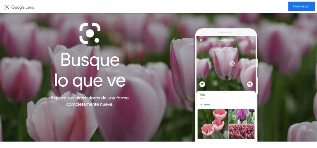 ¿Qué son las GAN? Las Redes Generativas Antagónicas que crean arte ¿Qué son las GAN? Las Redes Generativas Antagónicas que crean arte - image 1024x478