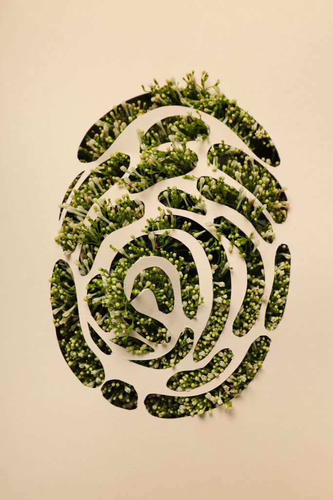 Sostenibilidad digital: cómo medir la huella de carbono de tu presencia en internet Sostenibilidad digital: cómo medir la huella de carbono de tu presencia en internet - concepto de medio ambiente del dia de la tierra y concepto ecologico 1 683x1024