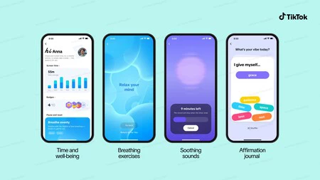 Tiktok Time And Well Being Space Overview